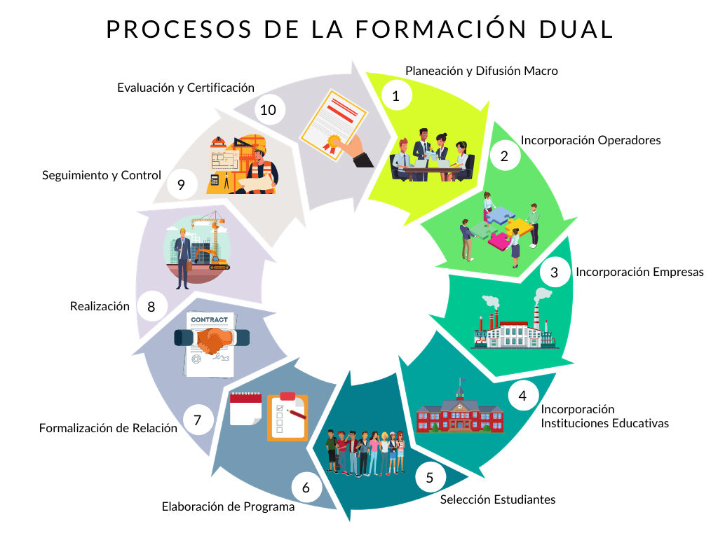 SISTEMA EDUCATIVO DUAL - AMIS - Asociación Mexicana de Instituciones de  Seguros