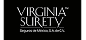 Virginia Surety